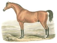 703942.jpg