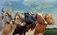306043.JPG