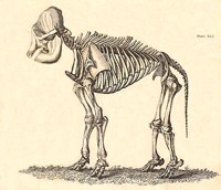 705139.jpg