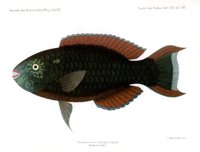 308182.JPG