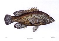 308181.JPG