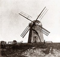 003790.jpg