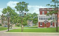 703342.jpg
