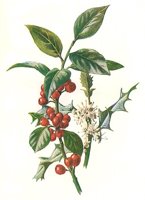 710426.jpg