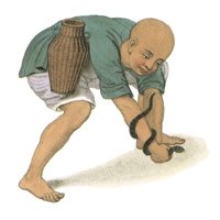 708409.jpg