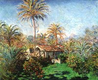 608081.JPG