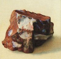 611988.JPG