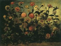 608091.JPG