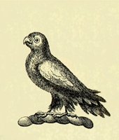 613319.JPG
