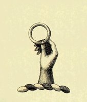 613305.JPG
