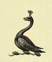 613303.JPG
