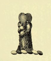 613300.JPG