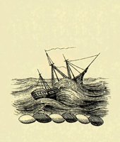 613268.JPG
