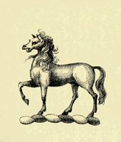612705.JPG
