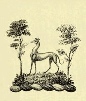 612632.JPG
