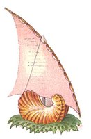 705399.jpg
