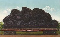 702249.jpg