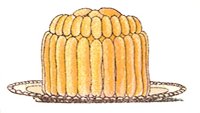 705442.jpg