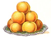 705431.jpg