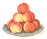 705428.jpg