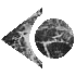 7HGBAL1L.GIF