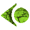 6H5BAL1L.GIF