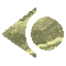 6I4BAL1L.GIF