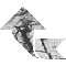 6HJCRV2U.GIF