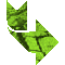6H5CRV2R.GIF