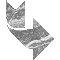 6IJCRV2R.GIF
