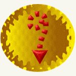sf2a9058.gif