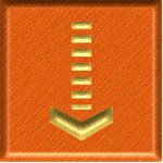sf2a8811.gif
