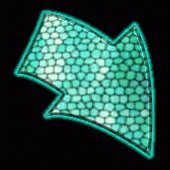 sf2a2219.gif