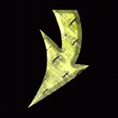 SFAA2713.gif
