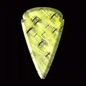 SFAA2698.gif