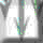 Arrw0048.gif