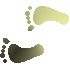 7F4FEETL.GIF