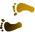 7F3FEETL.GIF