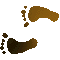 6FFFEETL.GIF