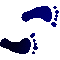 6FCFEETR.GIF