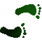6F8FEETR.GIF