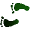 6F8FEETL.GIF