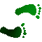 6F7FEETR.GIF