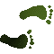 6F6FEETR.GIF