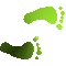 6F5FEETR.GIF