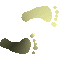 6F4FEETR.GIF