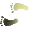 6F4FEETL.GIF
