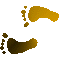 6F3FEETL.GIF