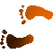 6F2FEETL.GIF