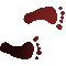 6F0FEETR.GIF